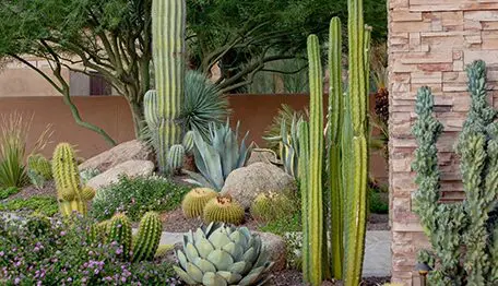 Professional Landscape Design - High Desert Designs