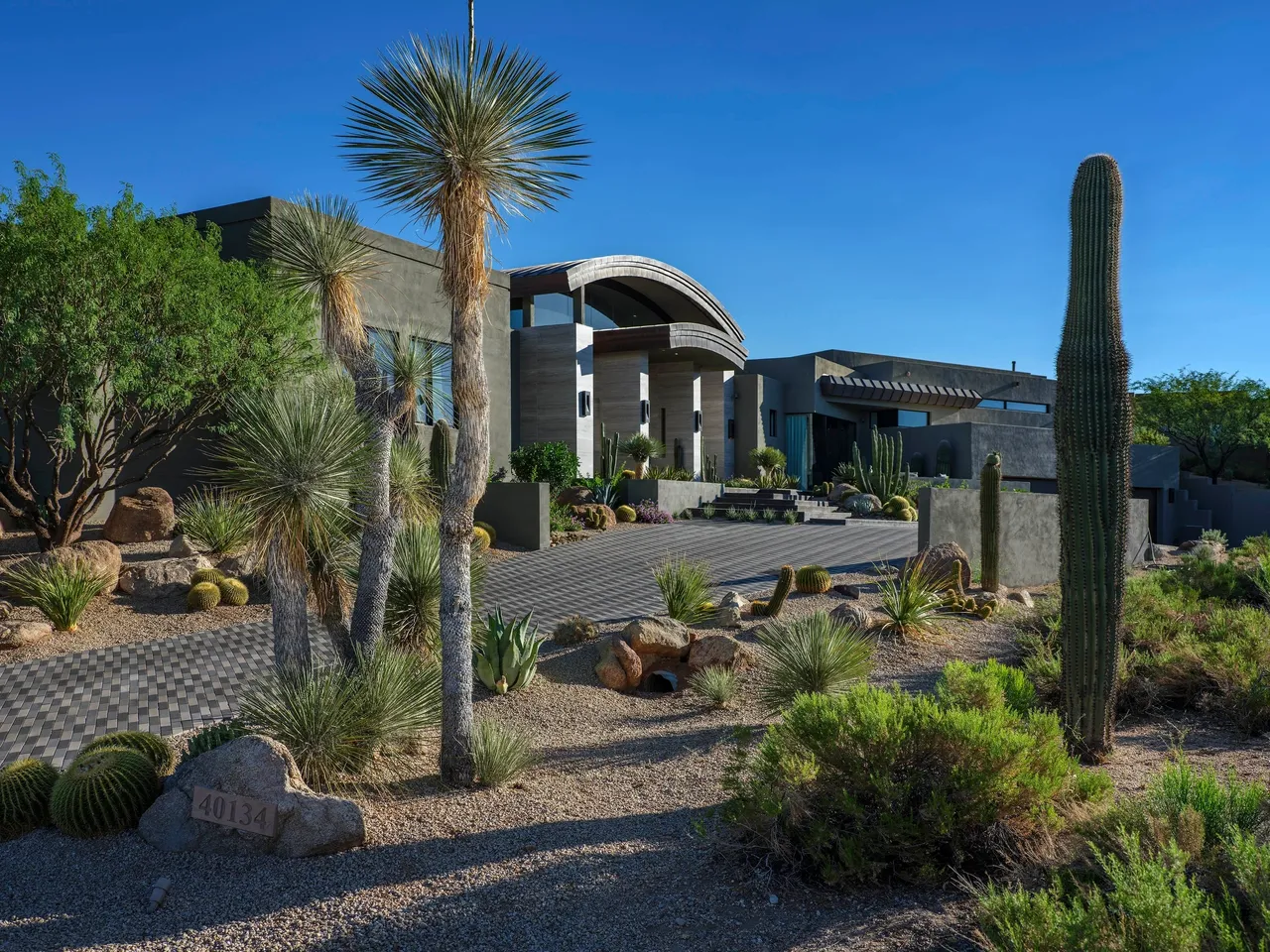 A view of a desert landscape with cacti and palm trees.