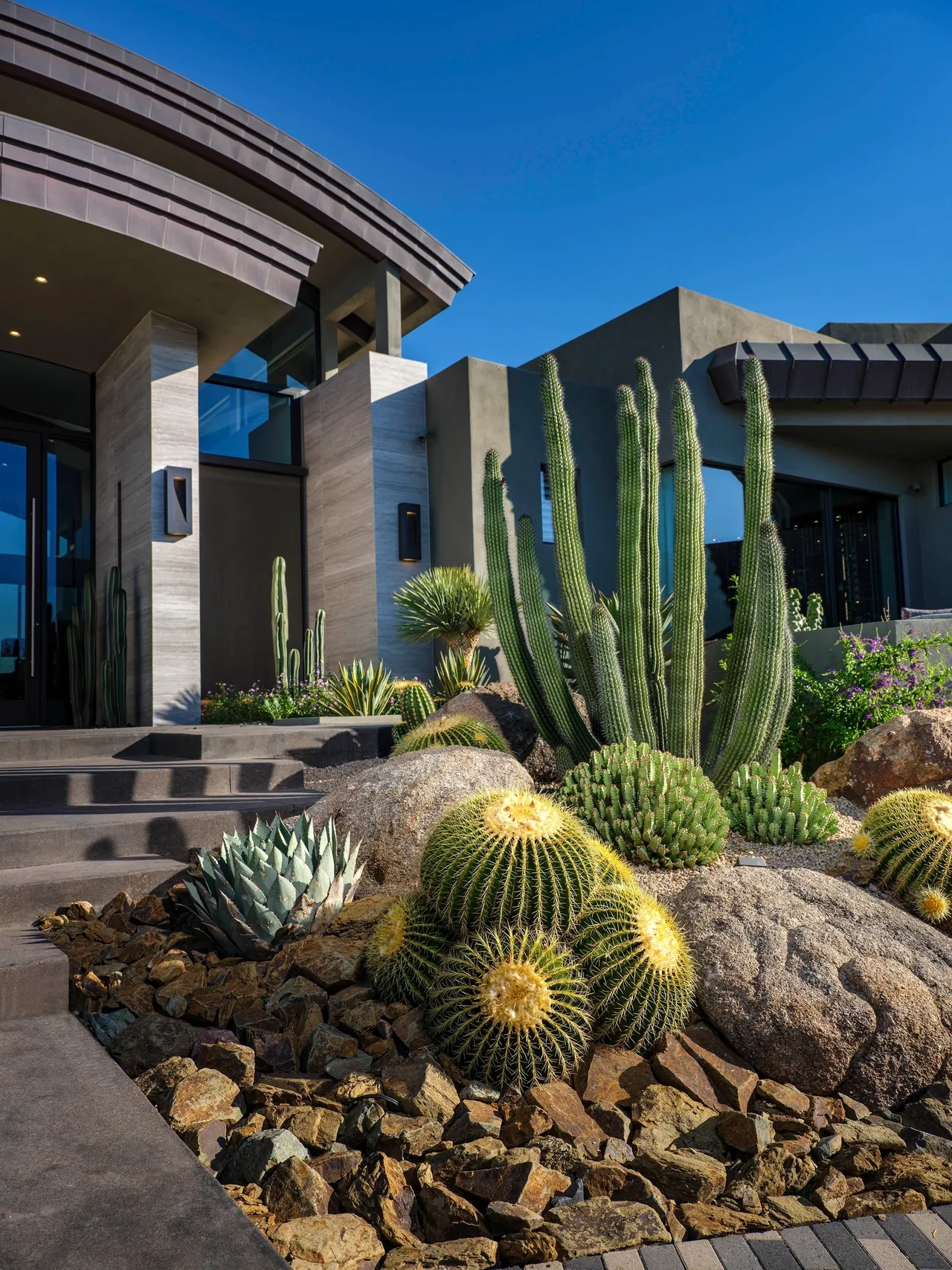 A large cactus garden in front of a house.