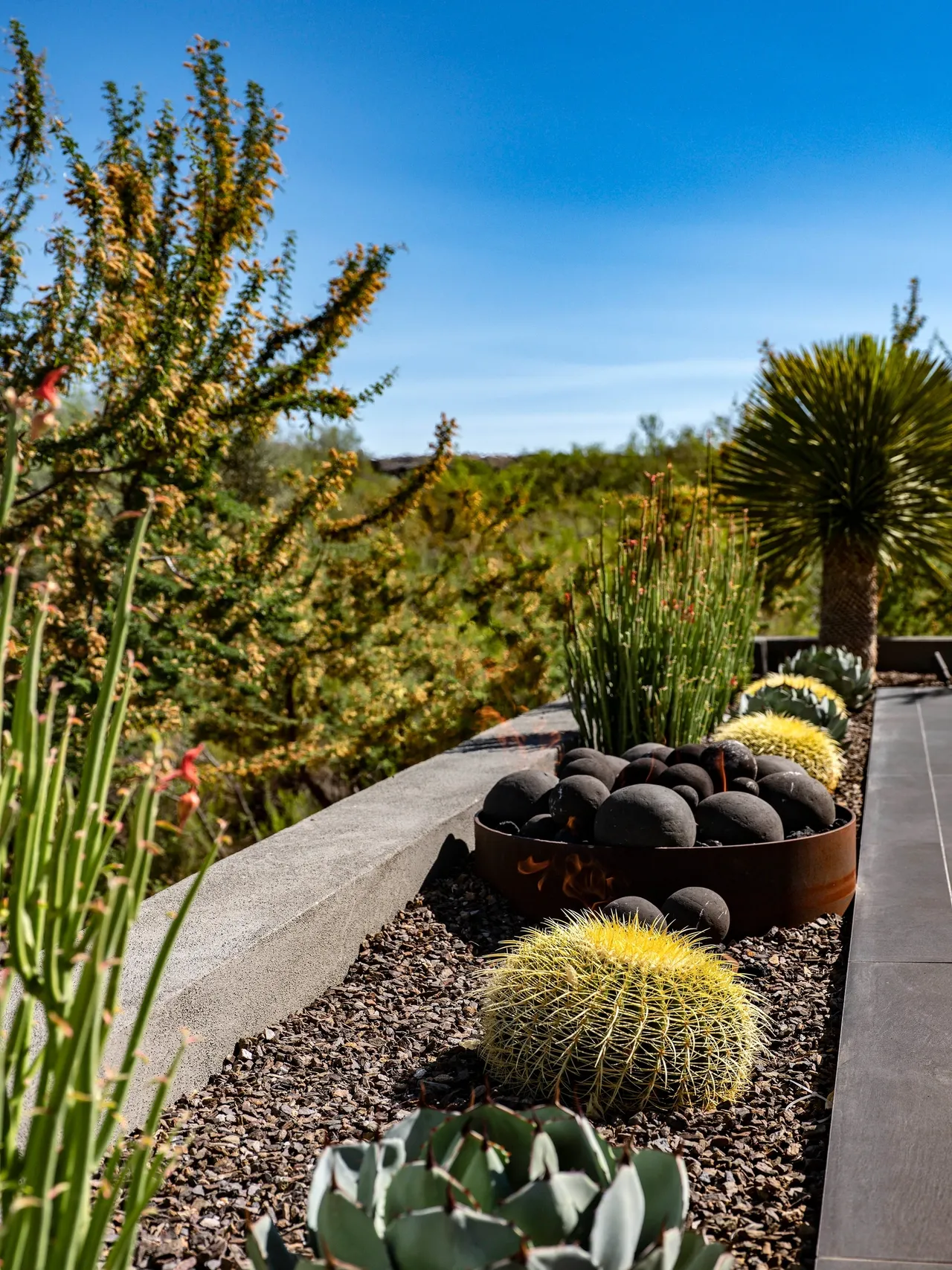 A garden with many plants and rocks