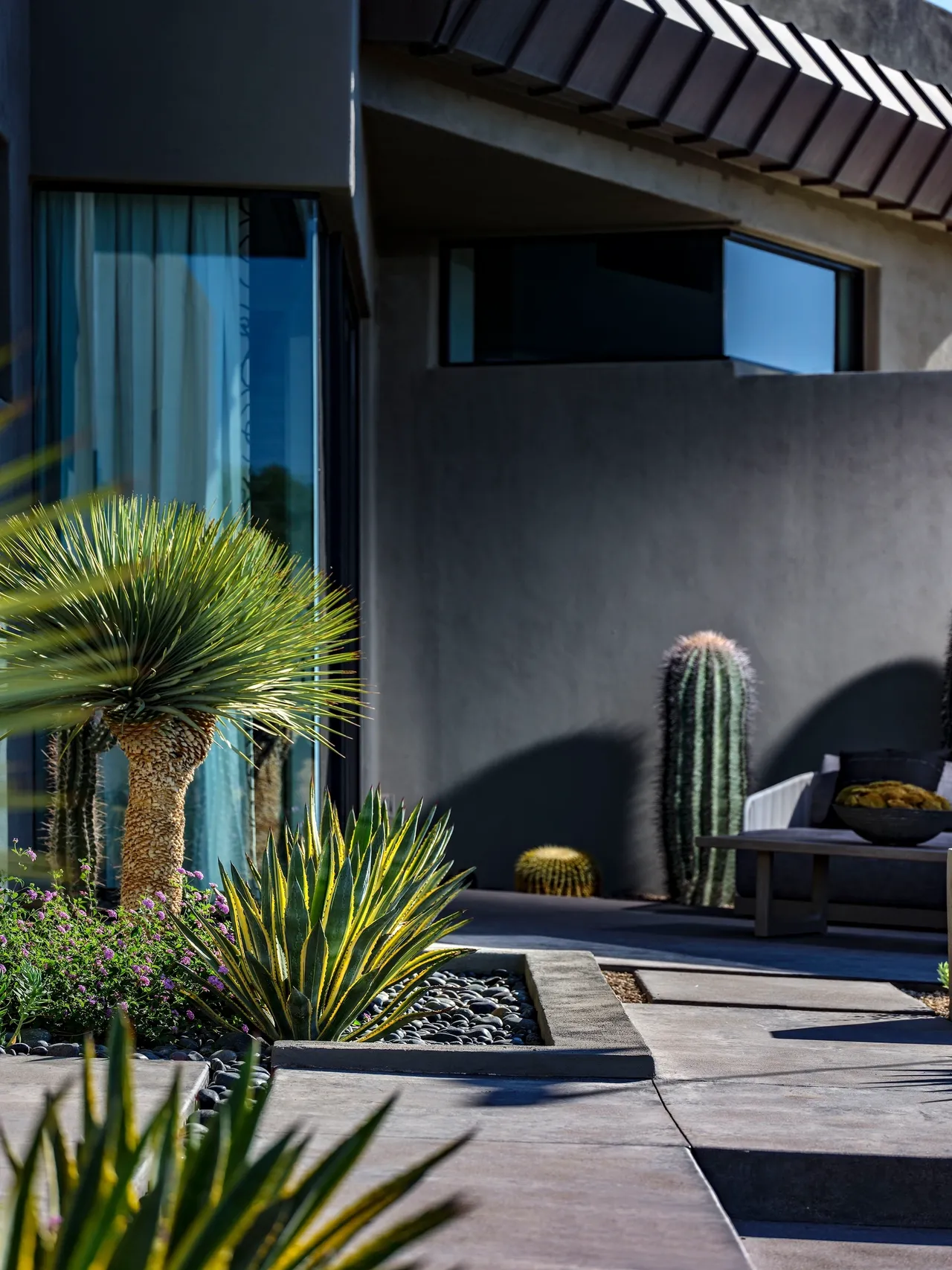 A patio with a couch and cactus plants.