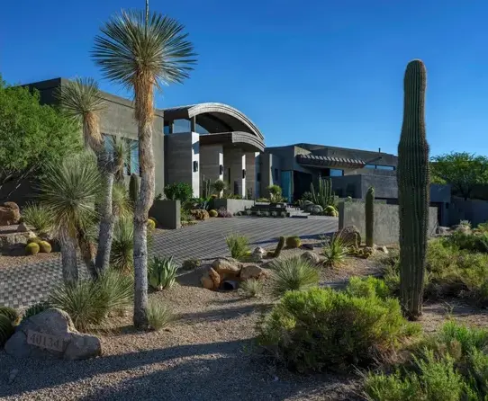 A desert landscape with cacti and palm trees.