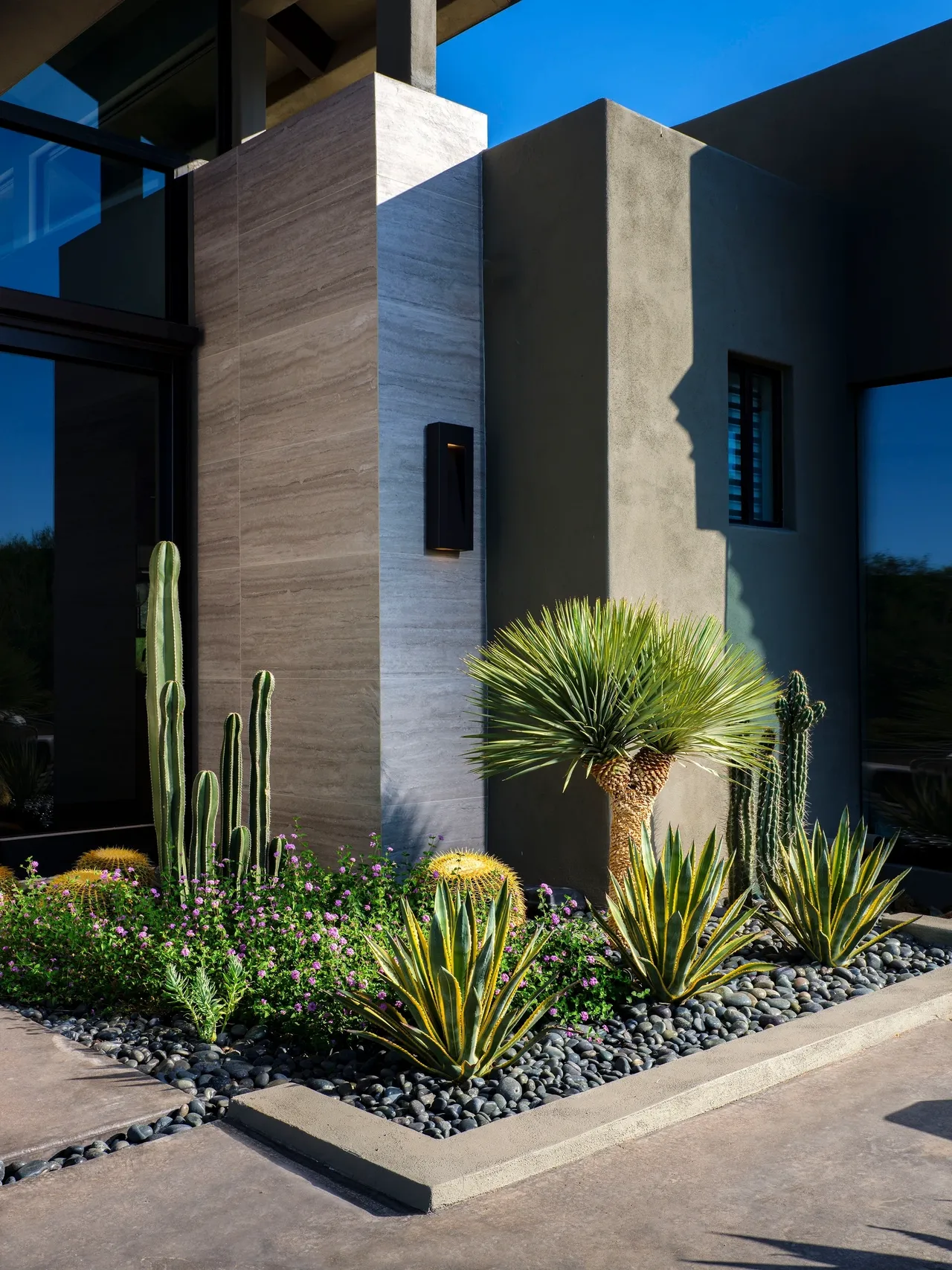 A garden with cacti and palm trees in front of a building.