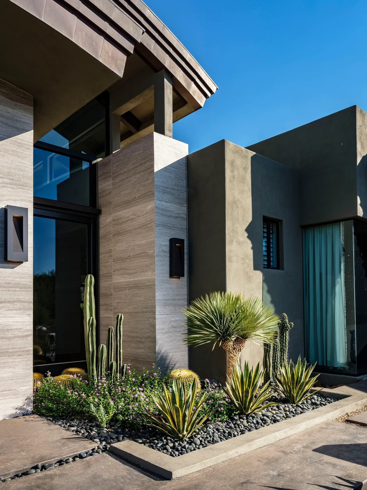 A modern house with plants and cacti in the front yard.