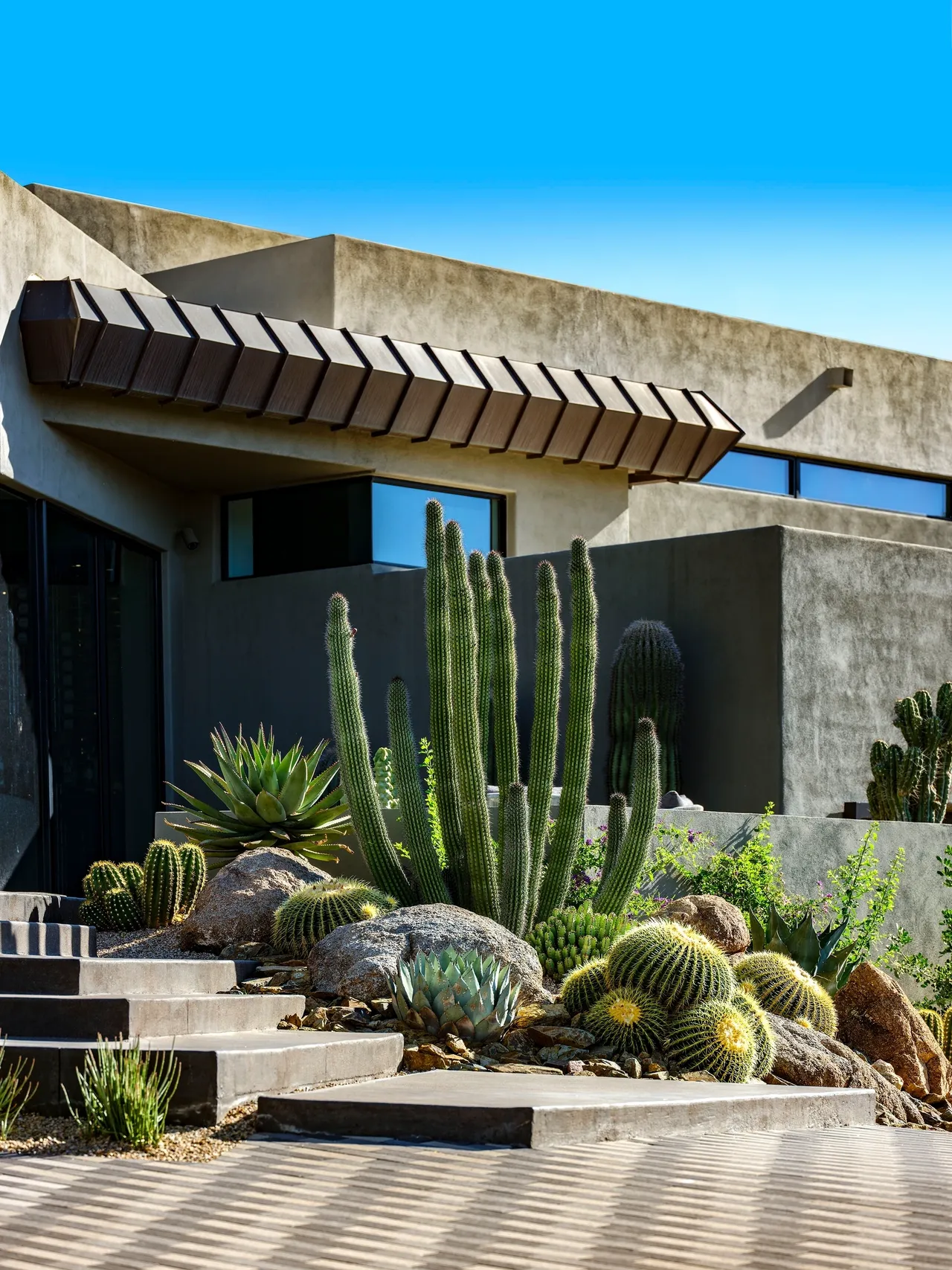 A garden with cacti and succulents in front of a house.