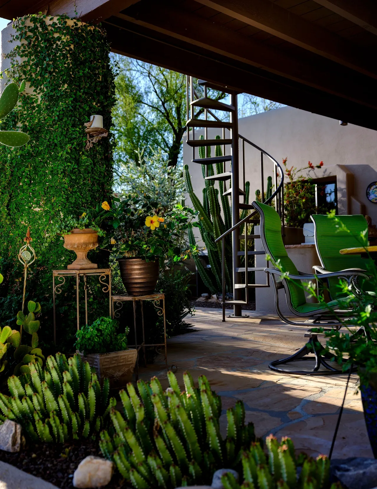 A patio with many plants and flowers