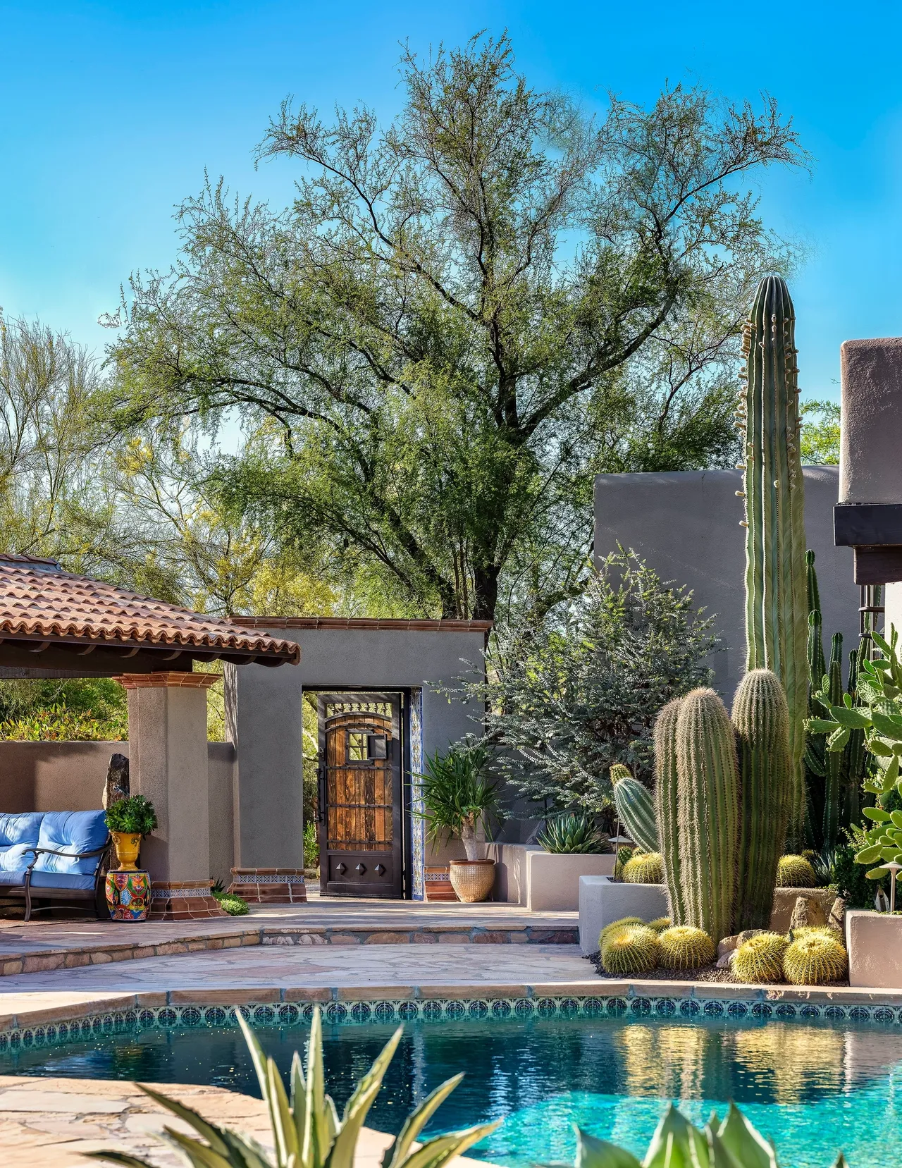 A pool with a bench and several cacti in the background.