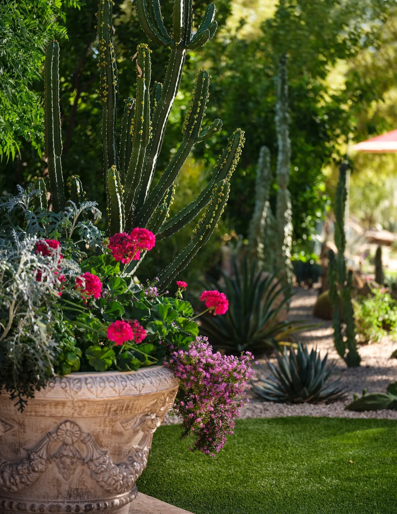 A garden with many different plants and flowers