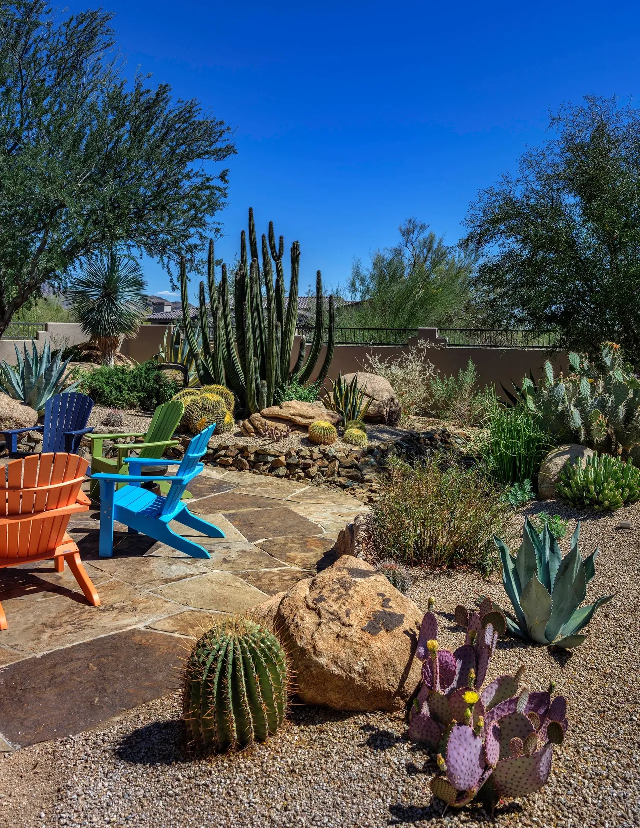 A garden with chairs and cacti in the middle of it.