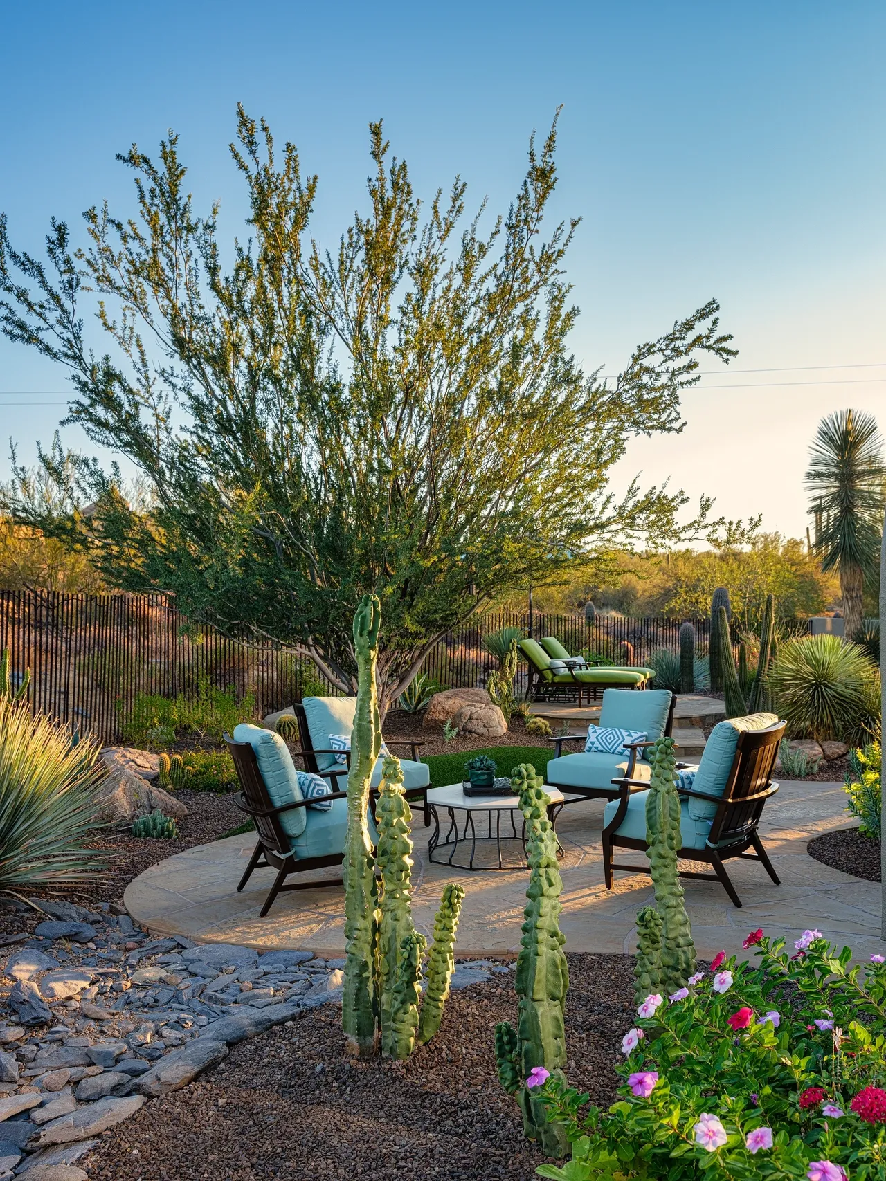 A patio with chairs and fire pit surrounded by cacti.