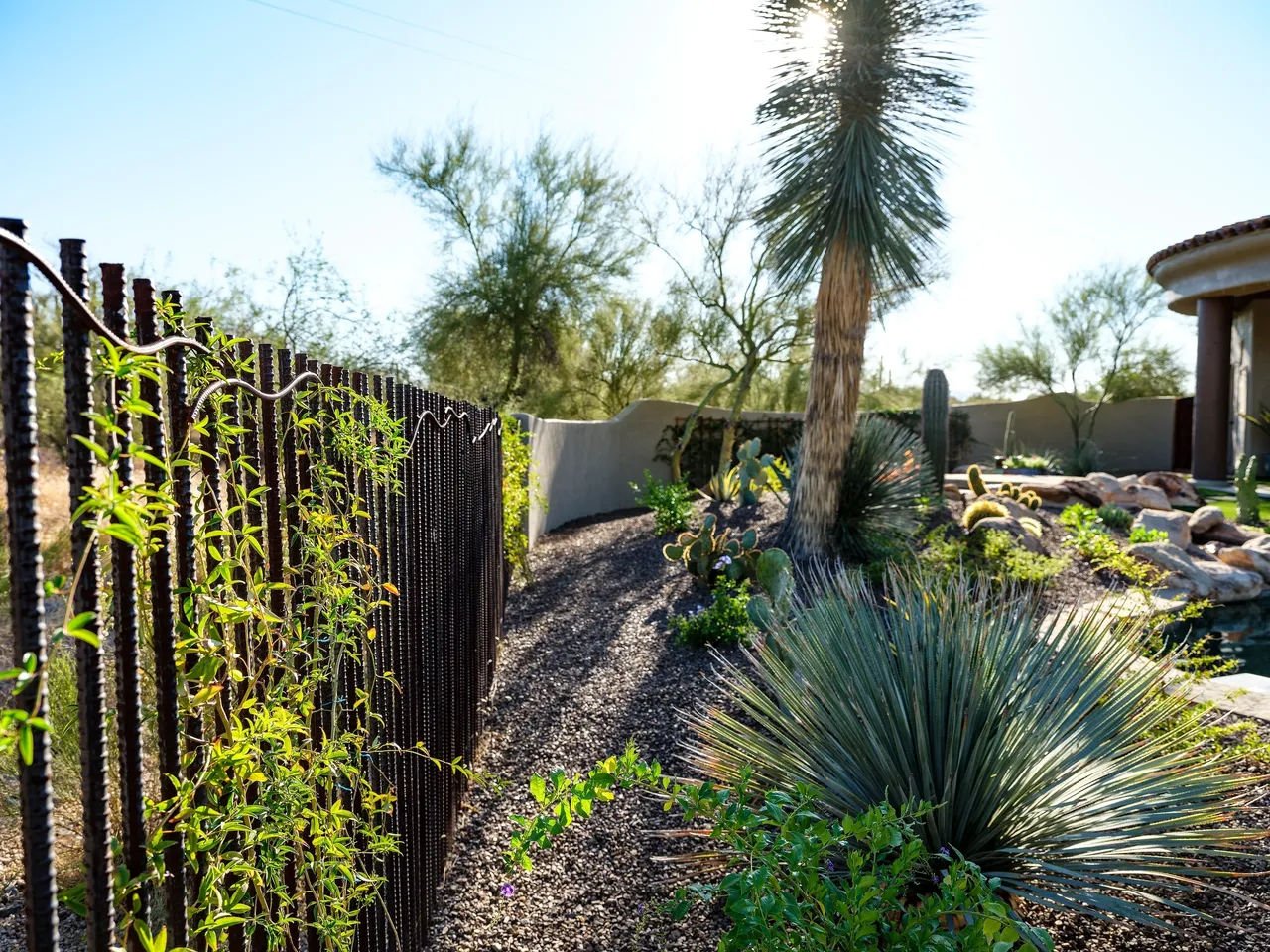 A garden with a fence and plants in it