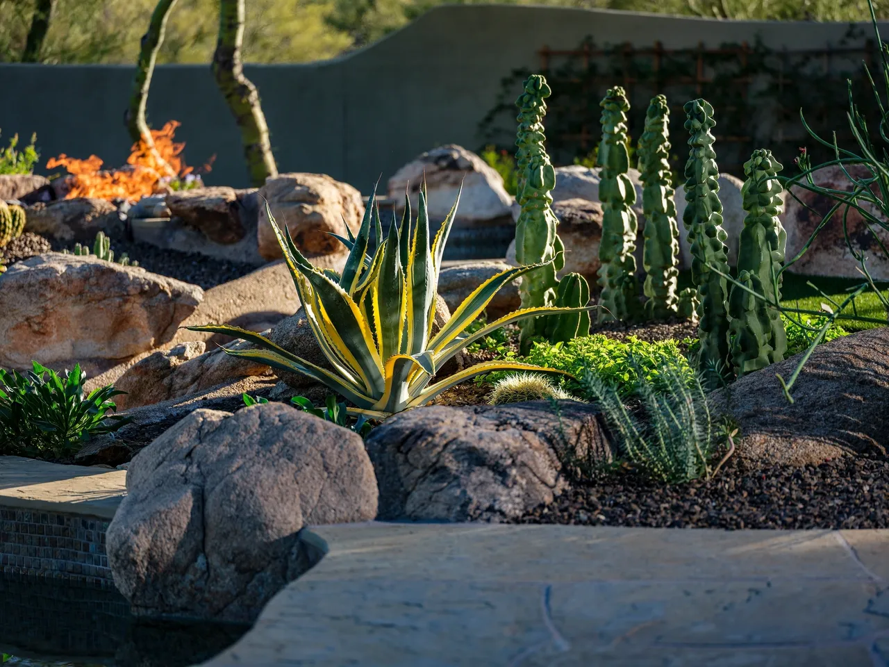 A garden with rocks and plants in it