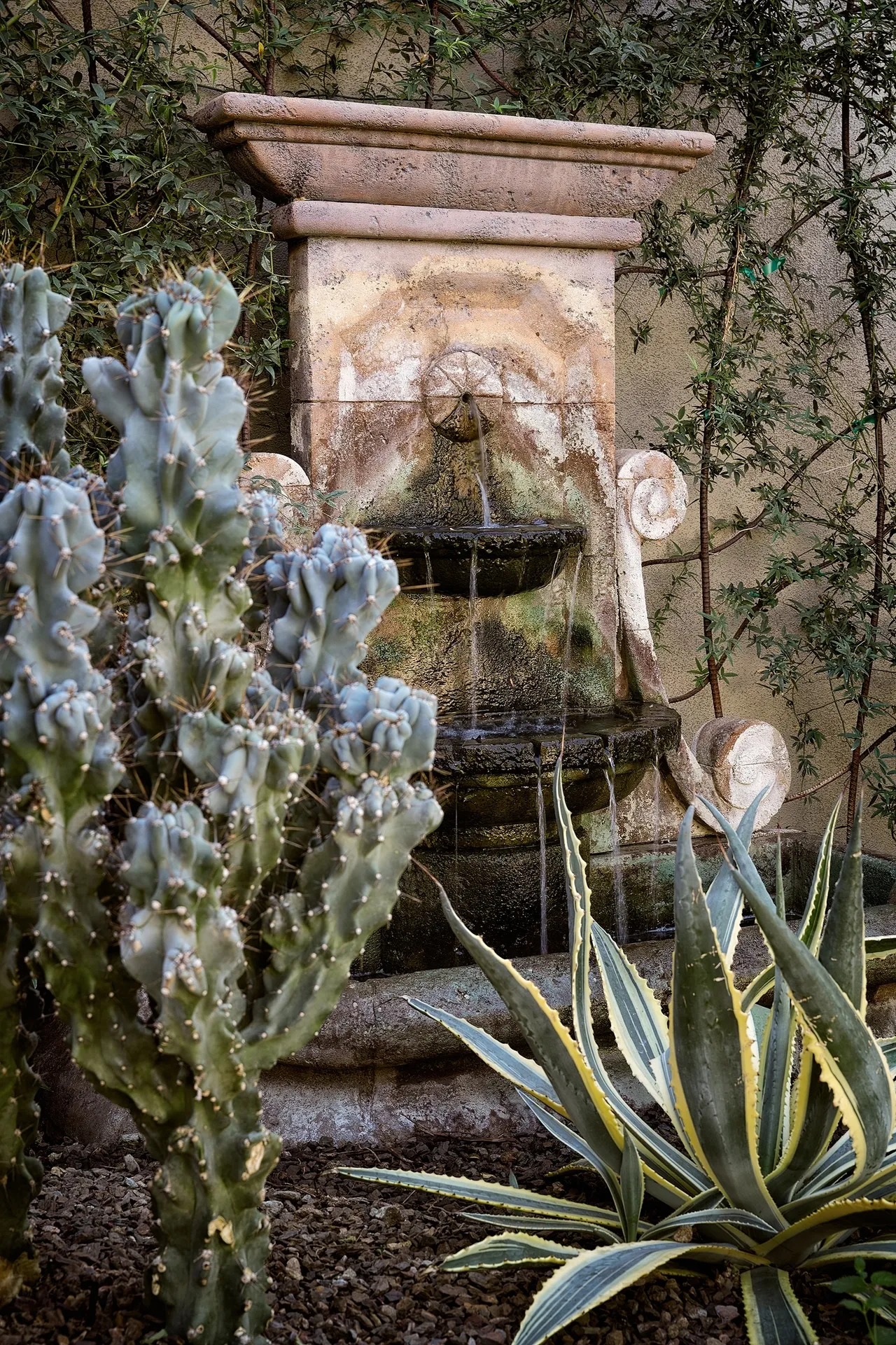 A fountain surrounded by cacti and other plants.