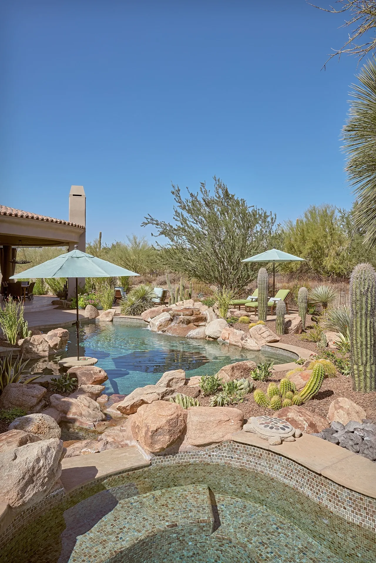 A pool with rocks and plants in the background.