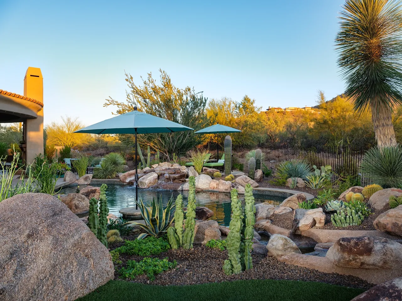 A garden with a pond and some cacti