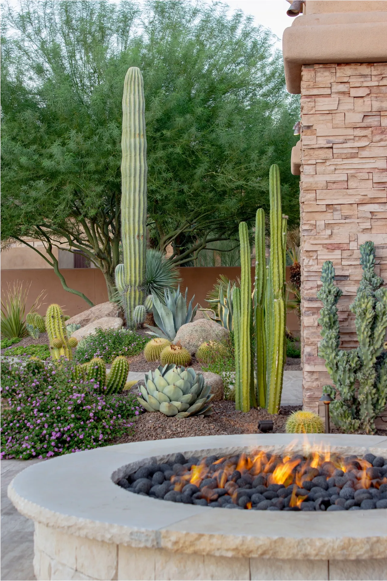 A fire pit with cacti and other plants around it.