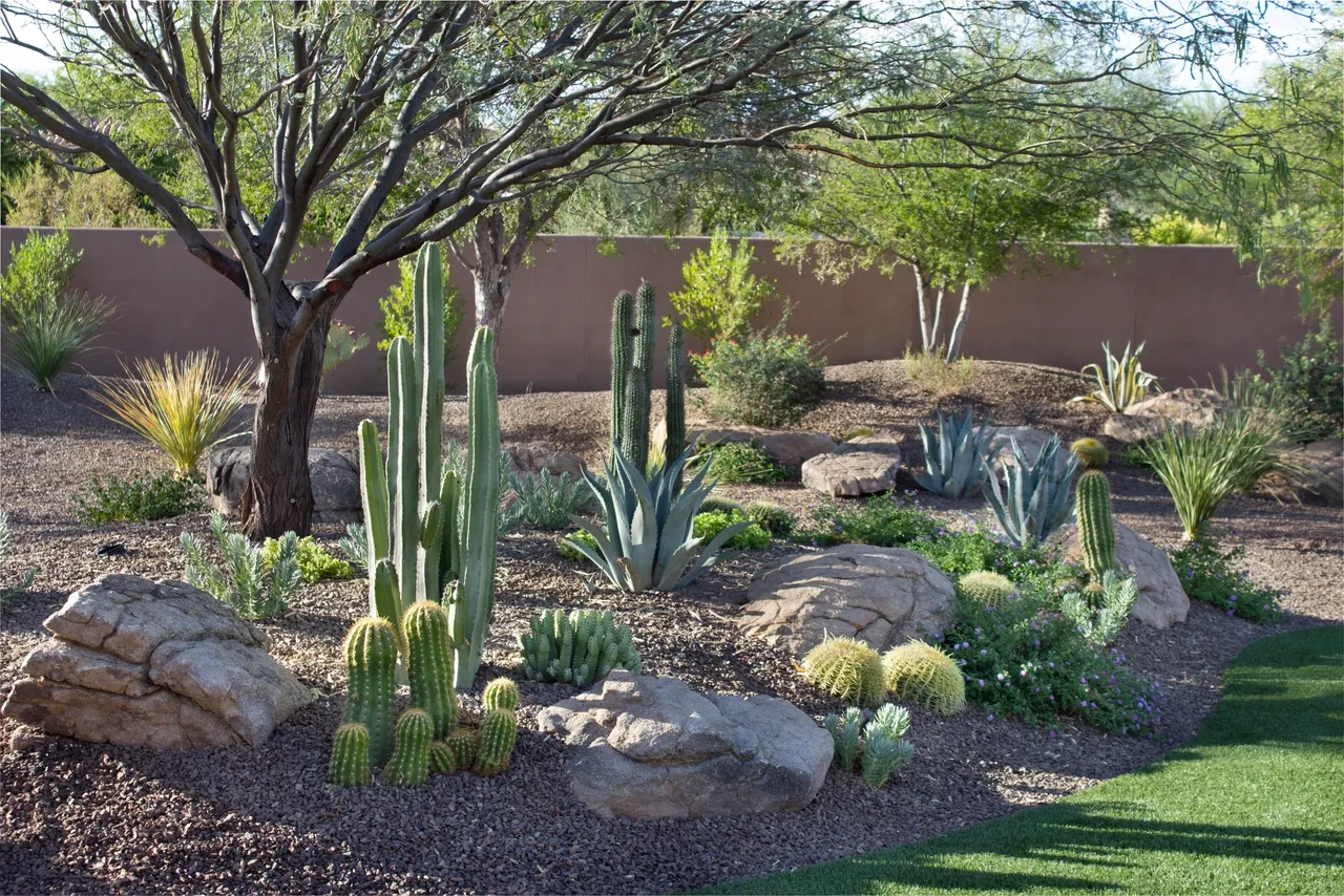 A garden with many different plants and trees.