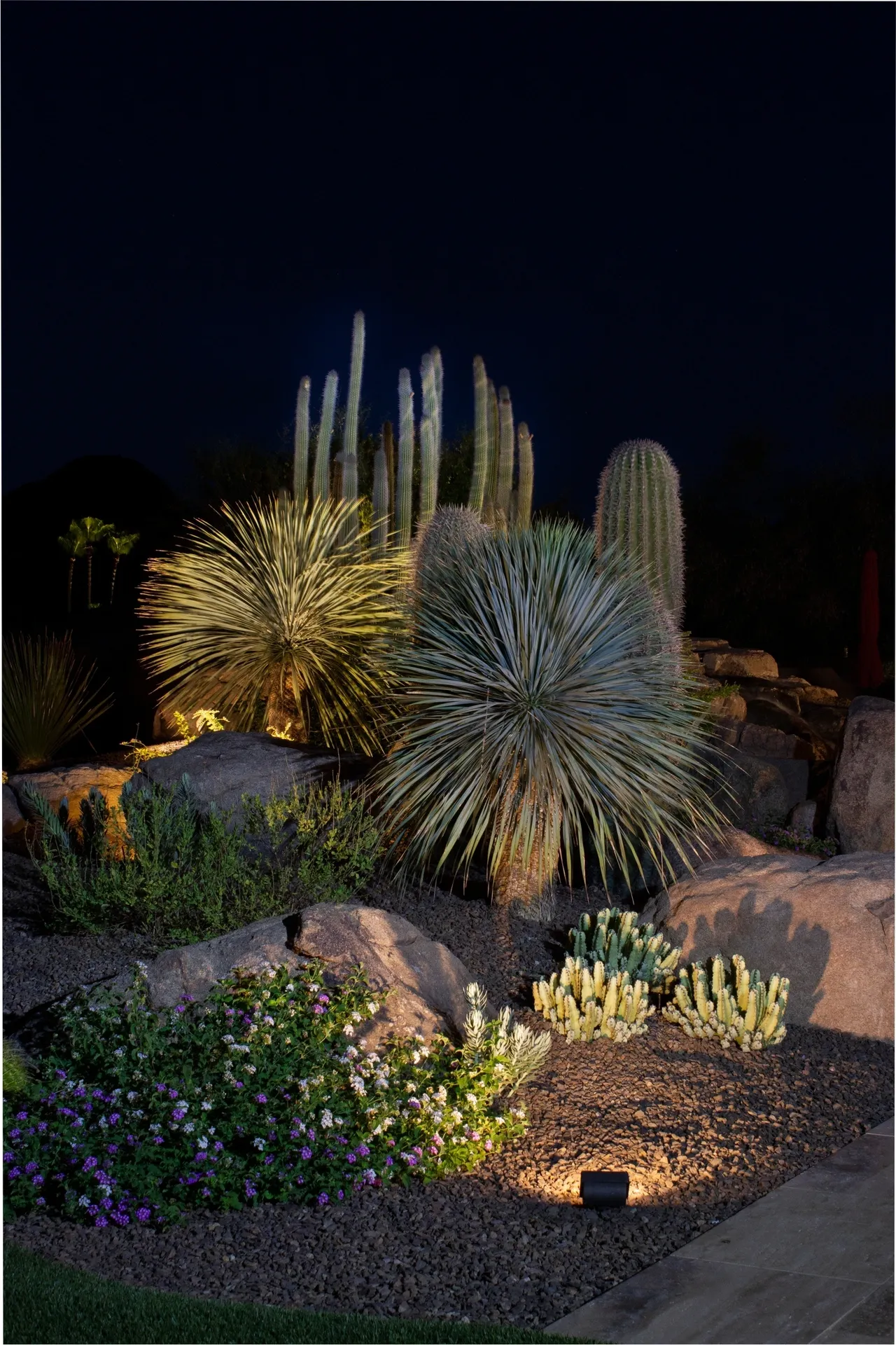 A garden with many different plants and bushes