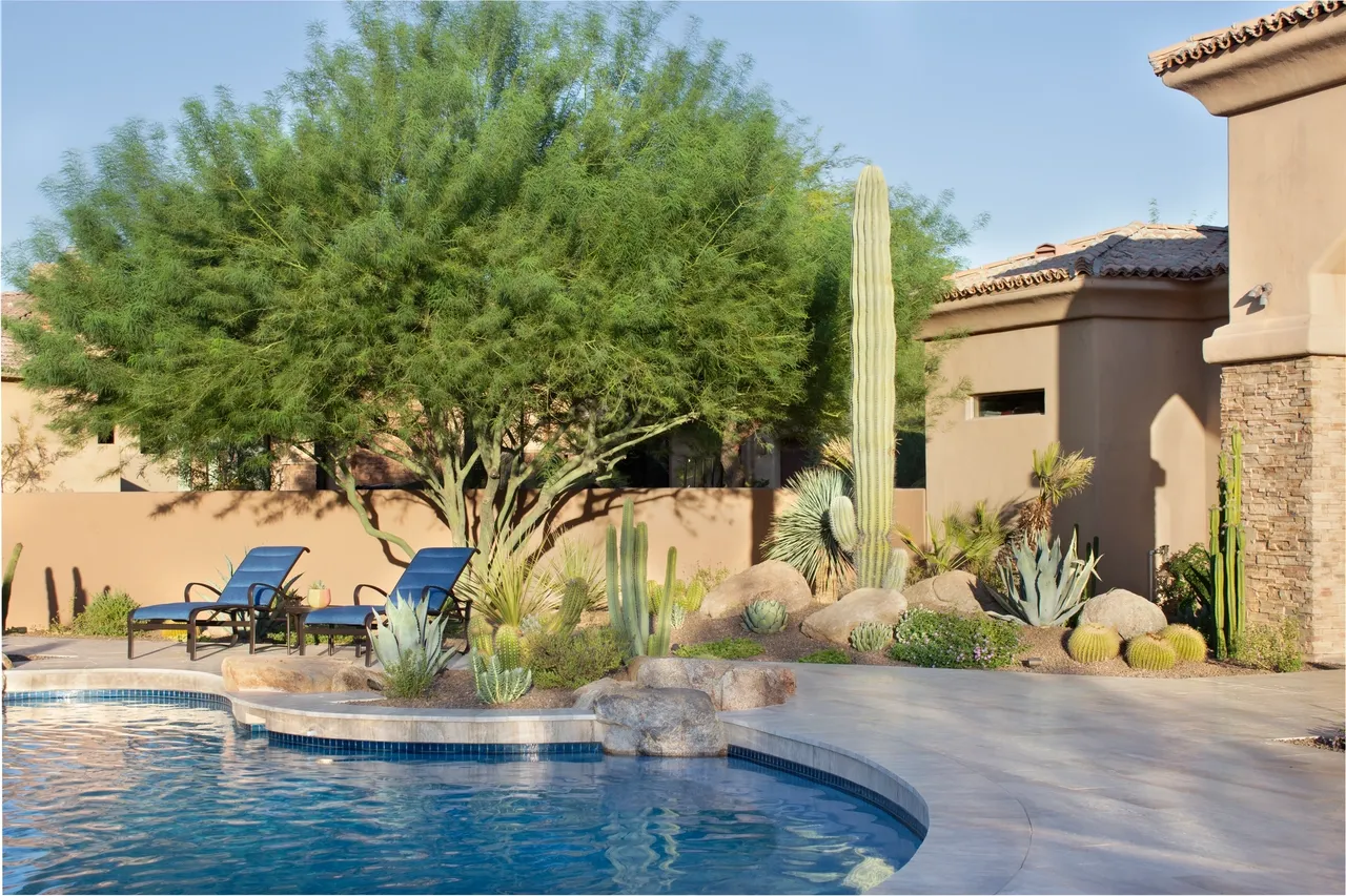 A pool with a large cactus and some chairs