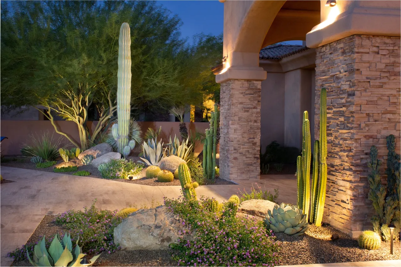 A large cactus garden in front of a house.