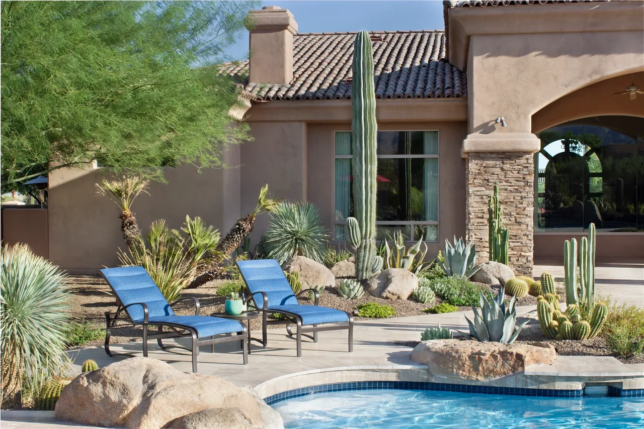 A pool with two blue chairs and a cactus.