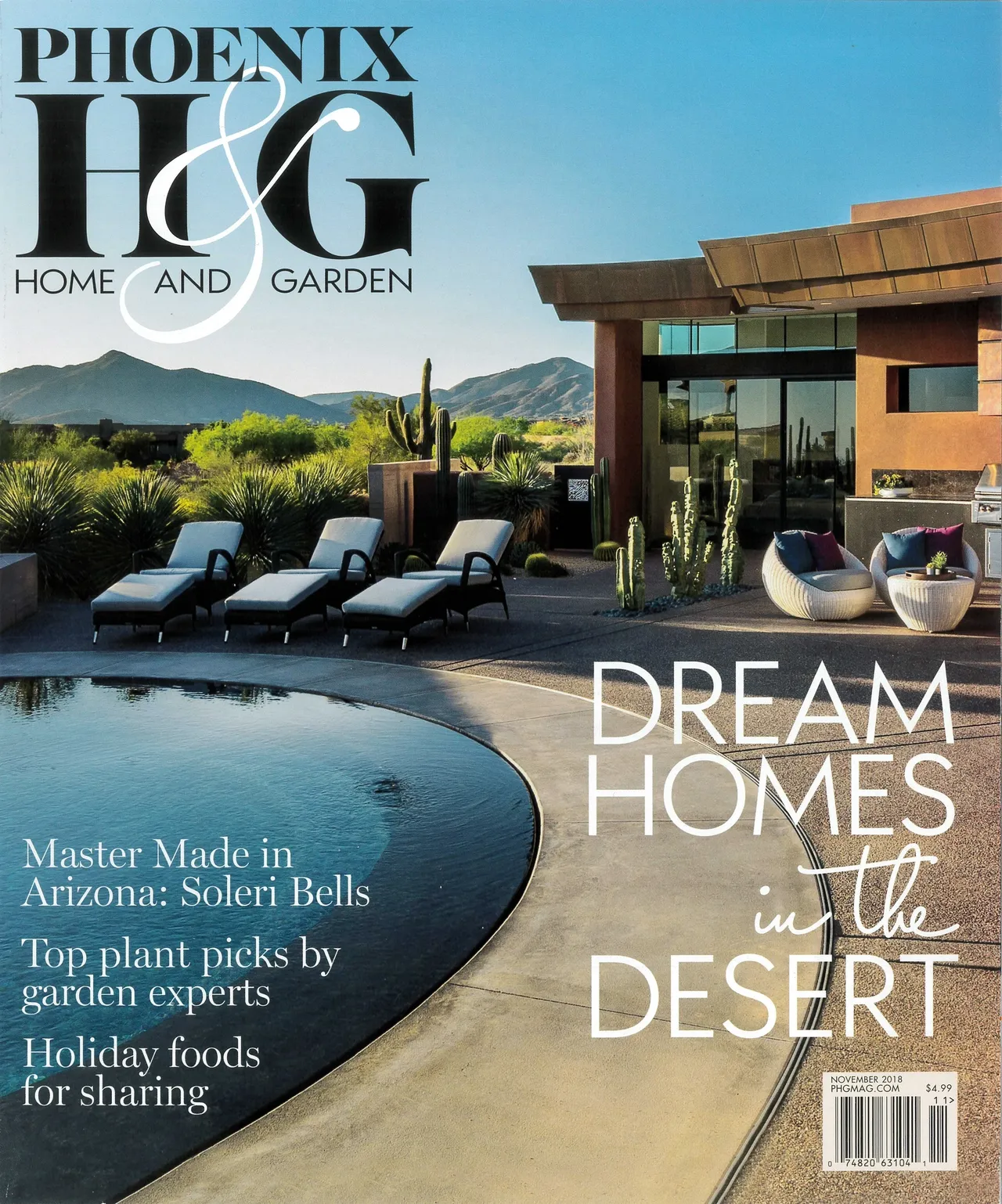 A magazine cover with an image of a pool and a desert.