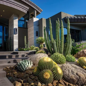 A large cactus garden in front of a house.