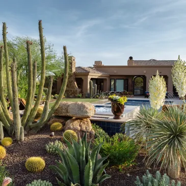 A garden with cacti and other plants in front of a pool.