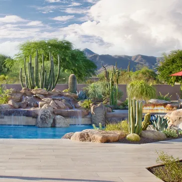 A pool with a waterfall and many plants