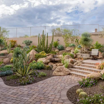 A garden with many plants and rocks