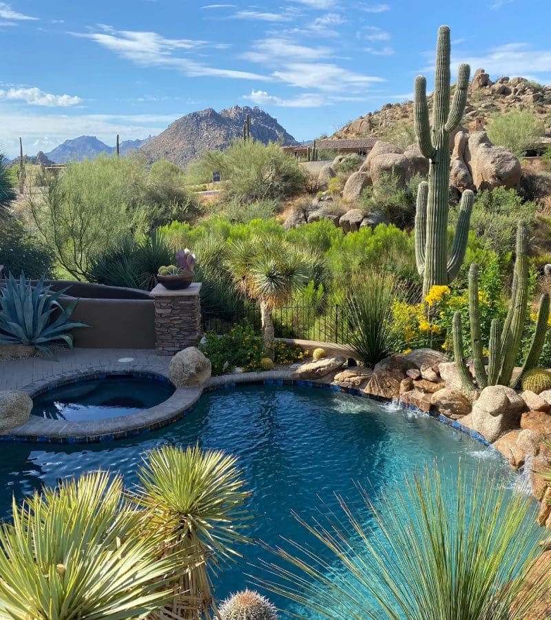 A pool with a hot tub and some cacti