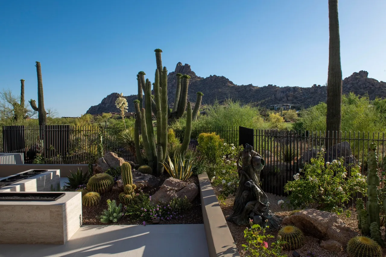 A garden with cacti and bushes in the background.