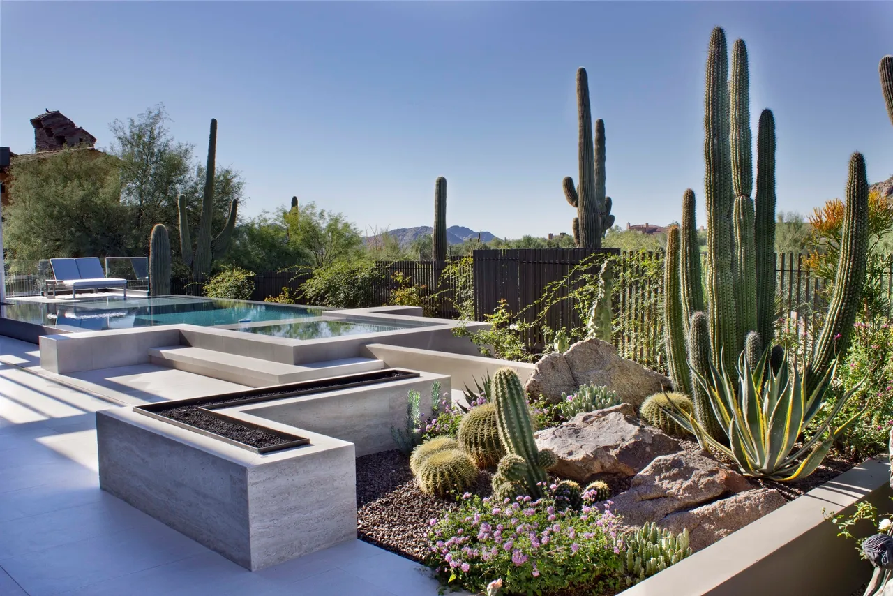 A garden with cacti and flowers in the middle of it.