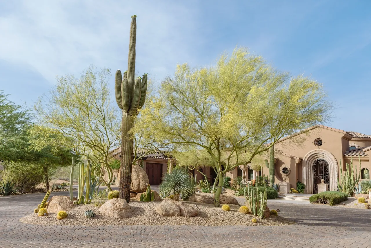 A large cactus in front of some trees