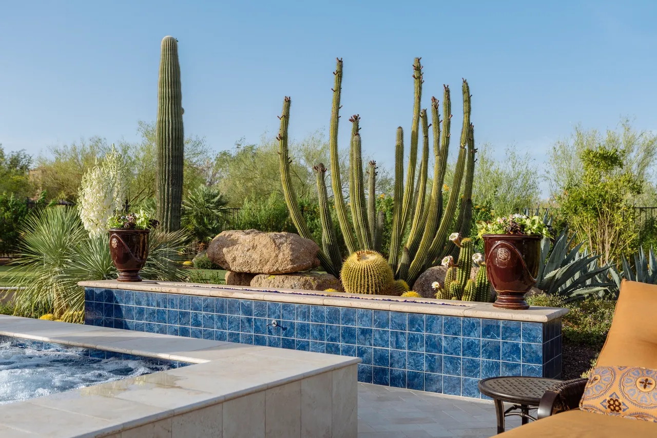 A pool with a lot of cacti in it