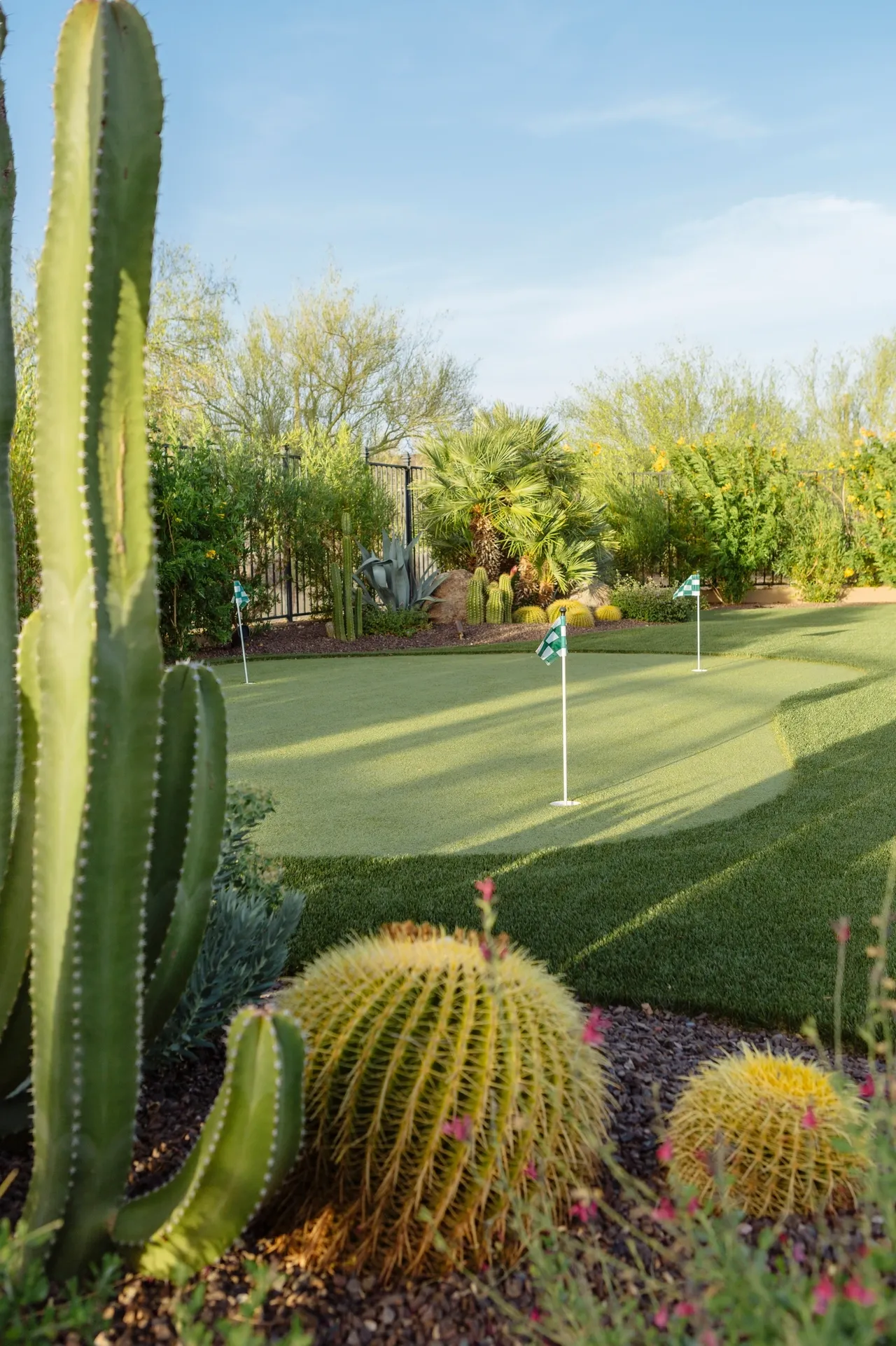 A golf course with cactus and bushes in the background.