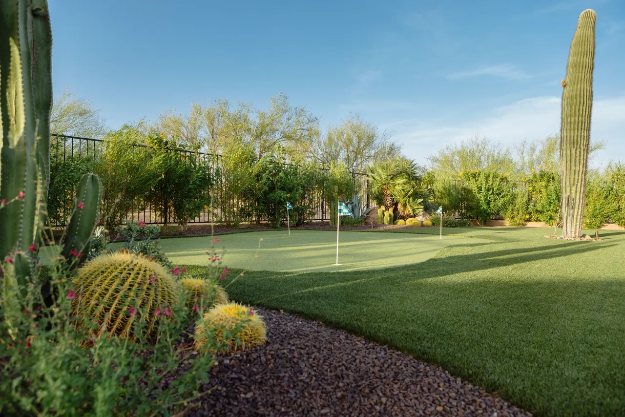 A golf course with a green and some cactus