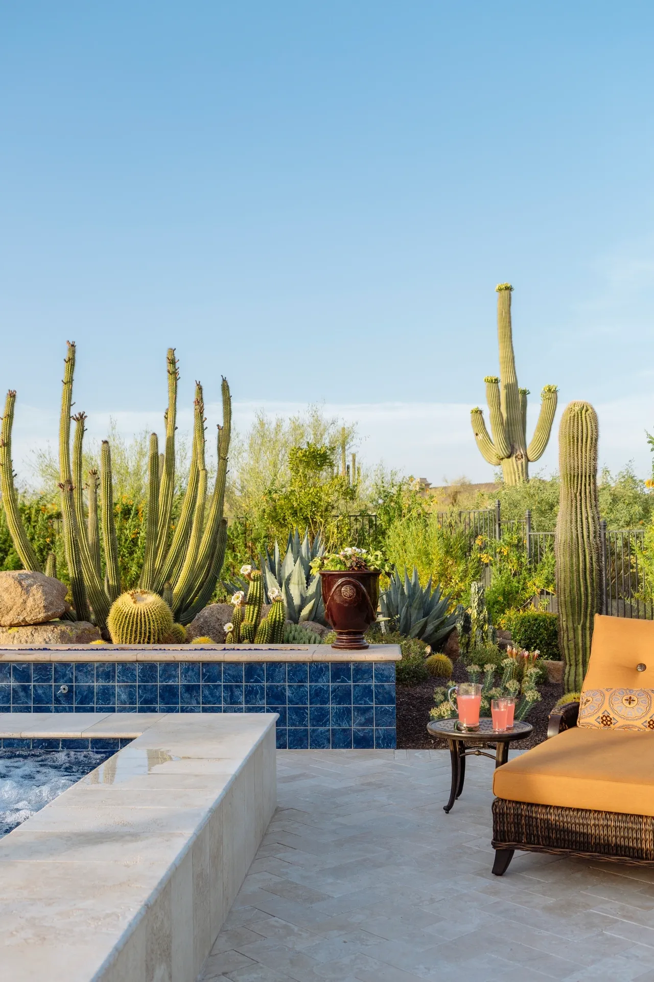 A patio with a pool and many cactus plants.