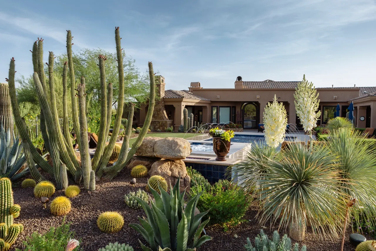 A garden with cacti and other plants in front of a pool.