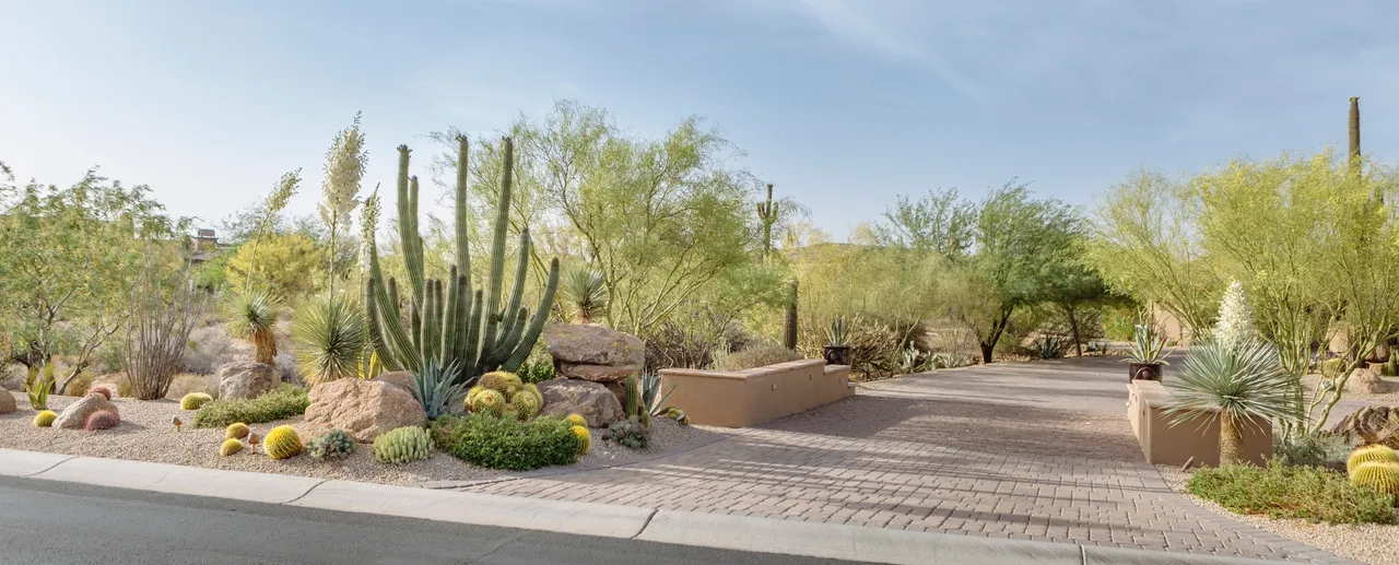 A desert garden with cacti and shrubs.