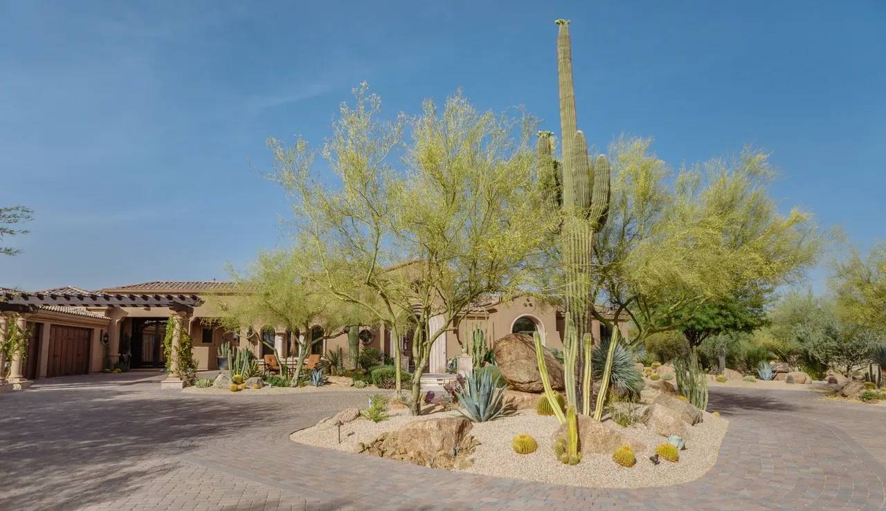 A cactus garden with many trees and bushes