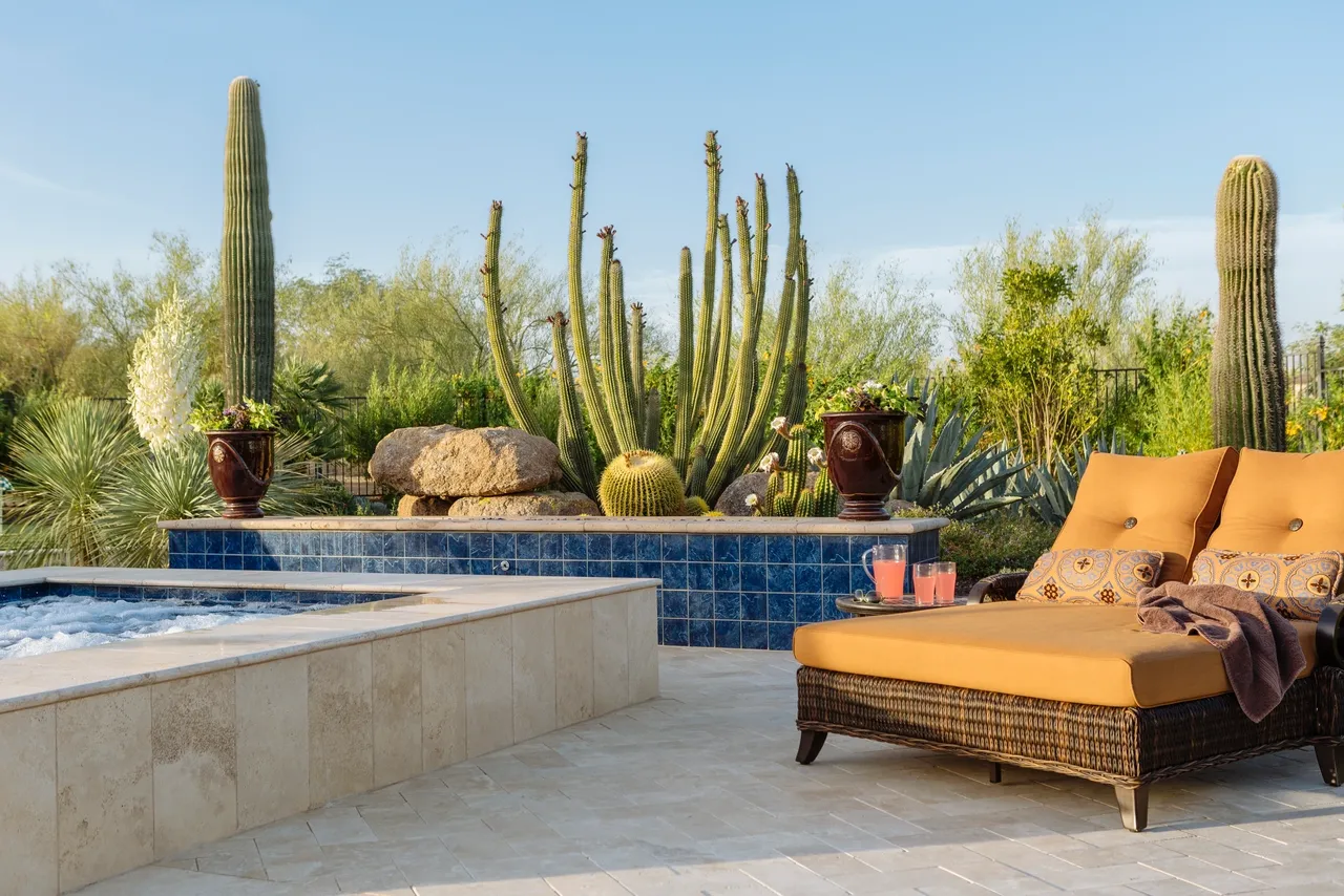 A patio with a pool and some cactus