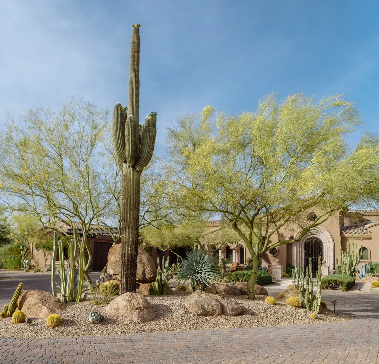 A cactus and some trees in front of a house.