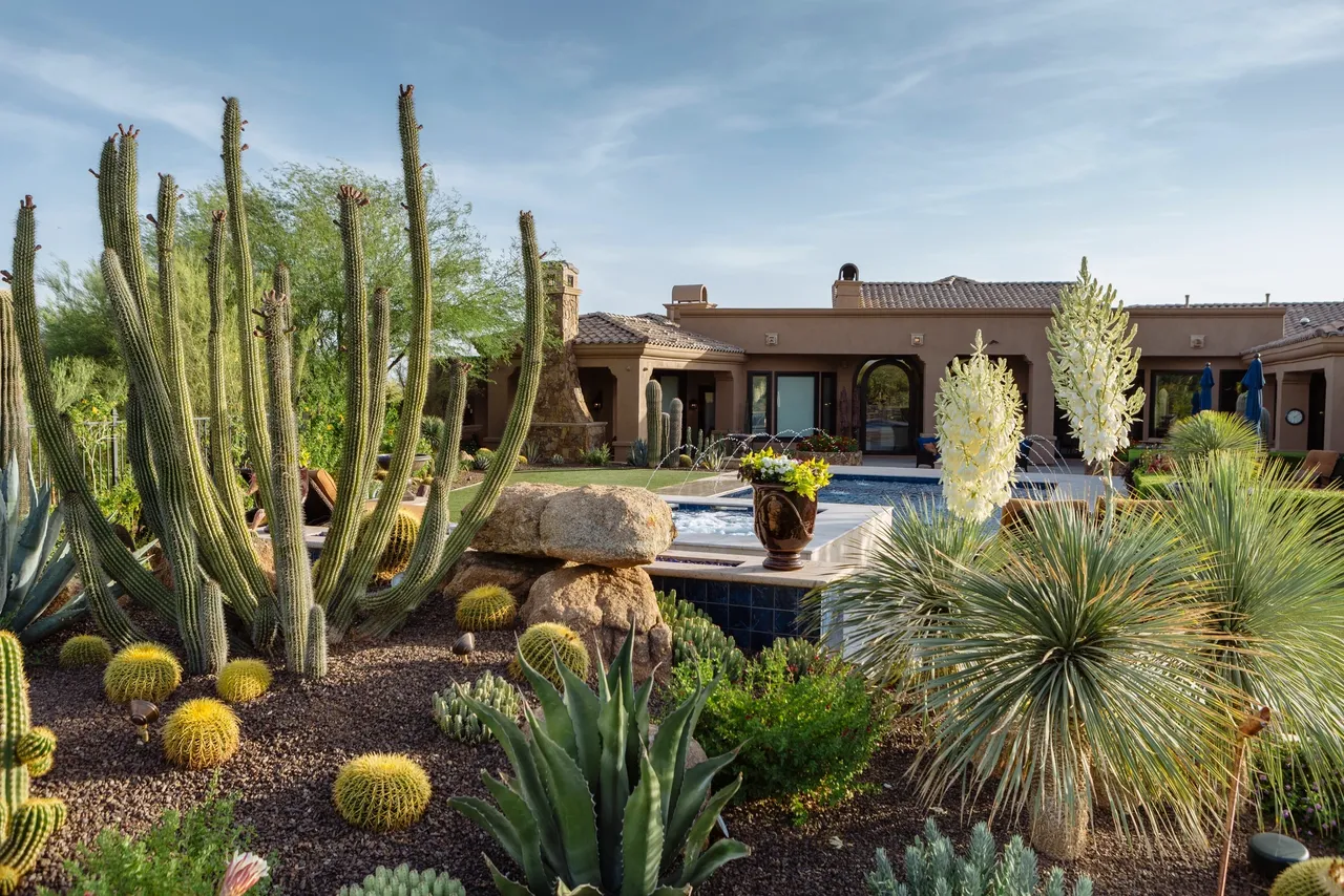 A garden with cacti and other plants in front of a pool.