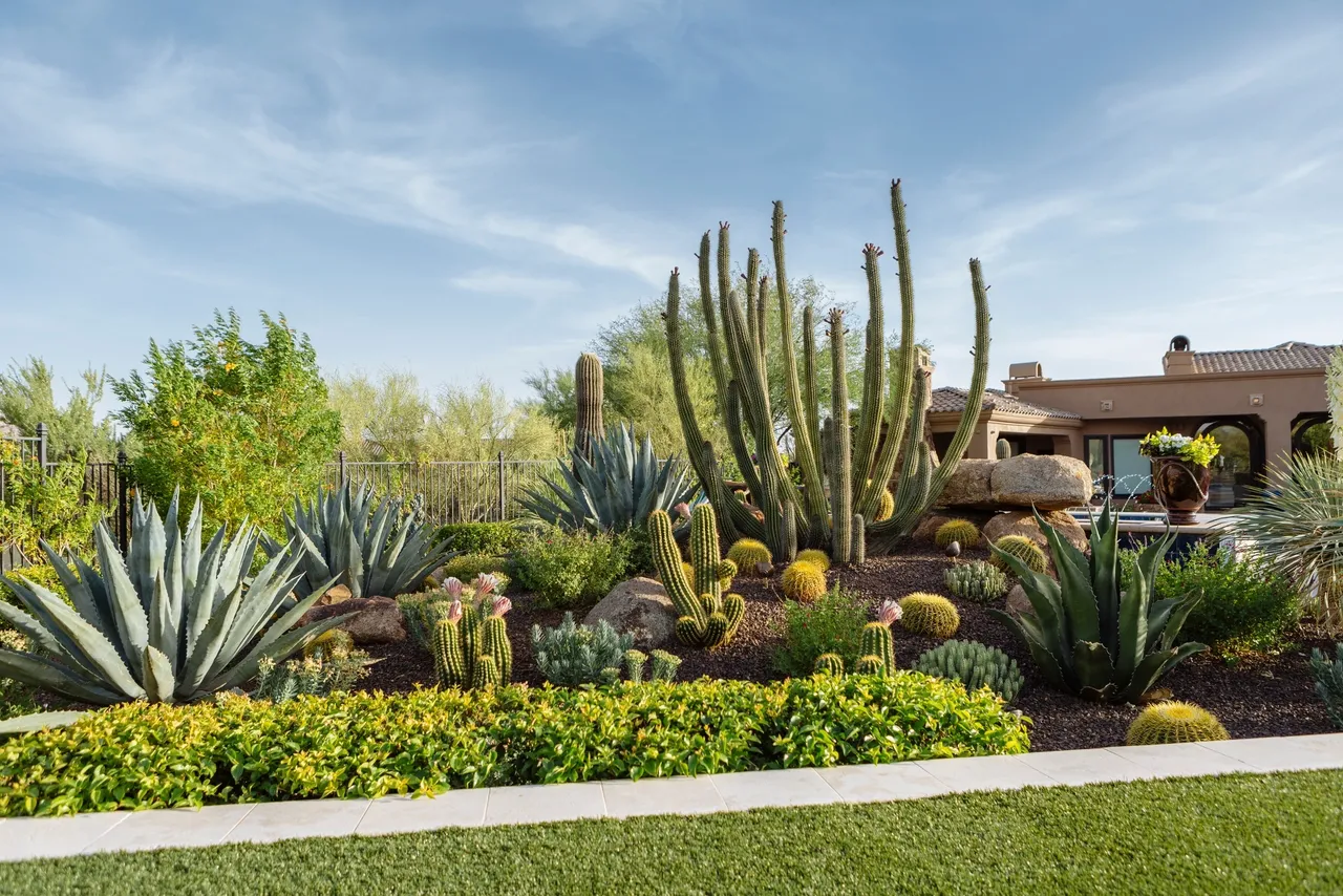 A garden with many different types of plants.