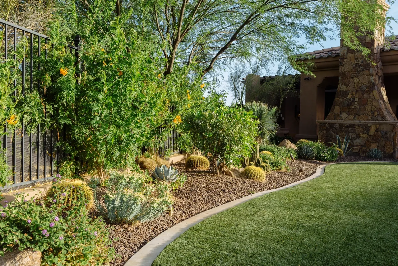 A garden with bushes and trees in the background.