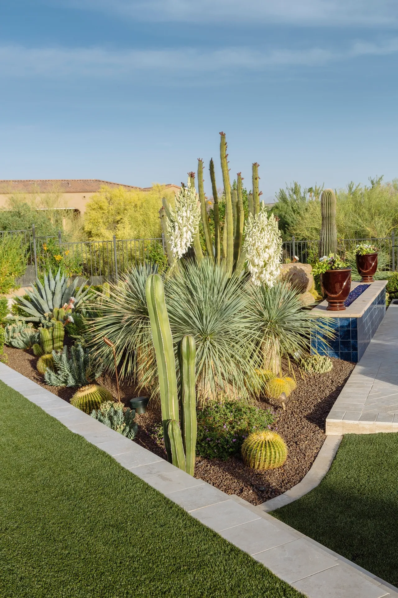 A garden with many different types of plants.