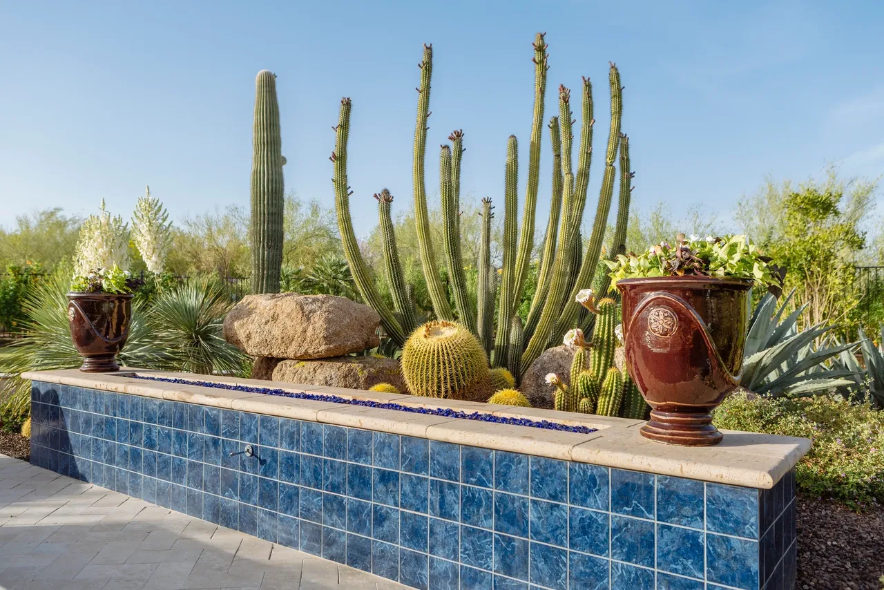 A pool with a blue tile wall and some cacti