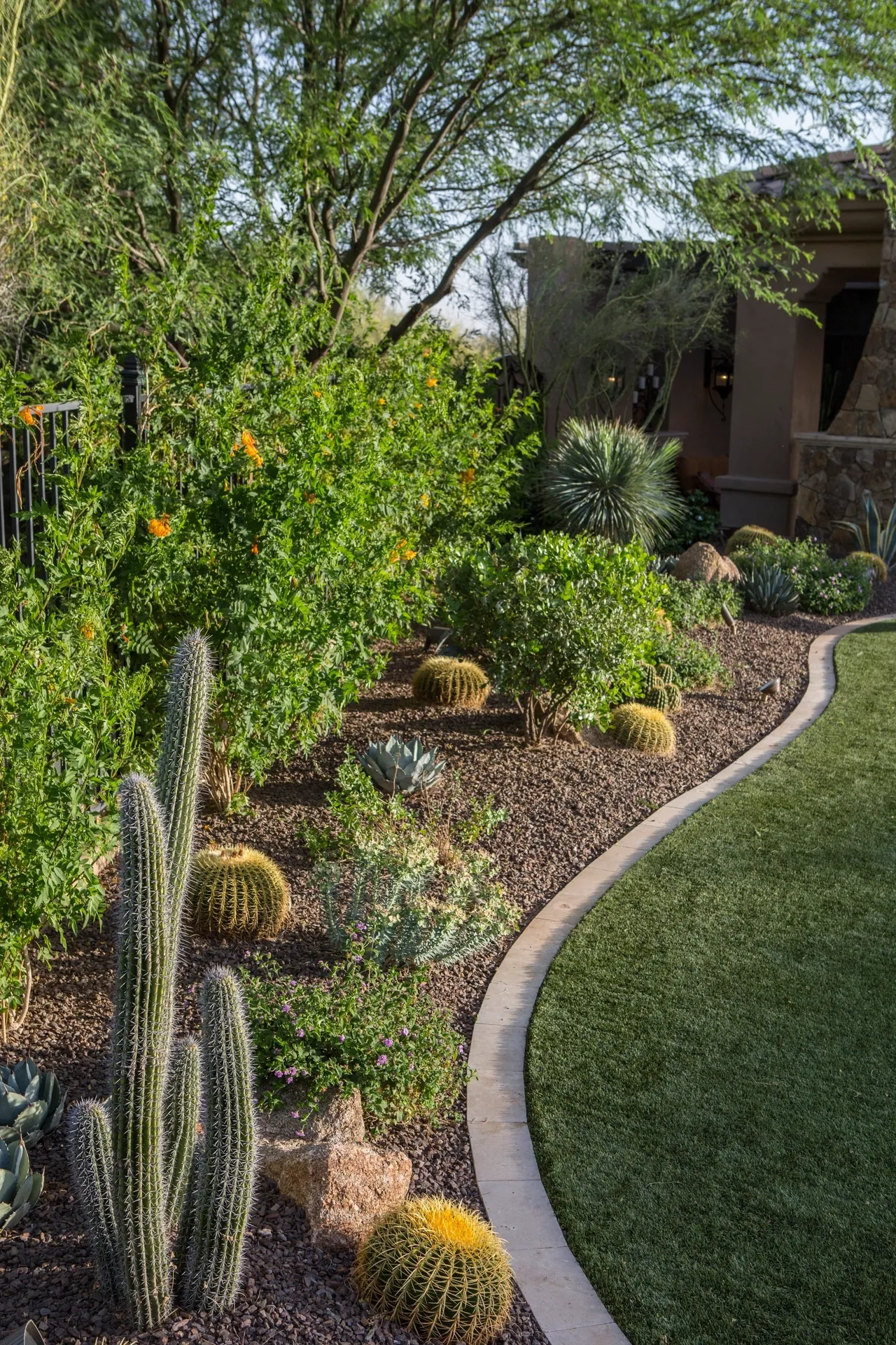 A garden with many plants and bushes