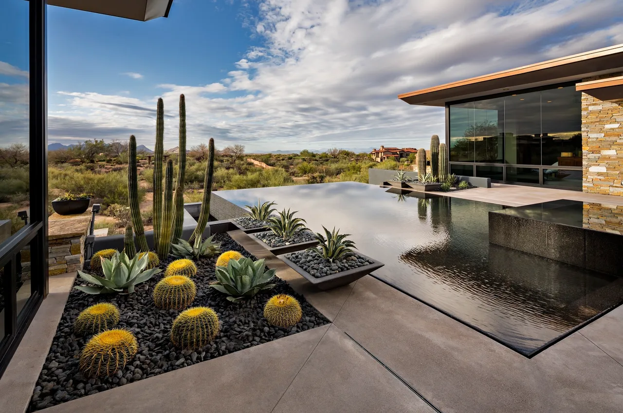 A pool with cacti and plants in it